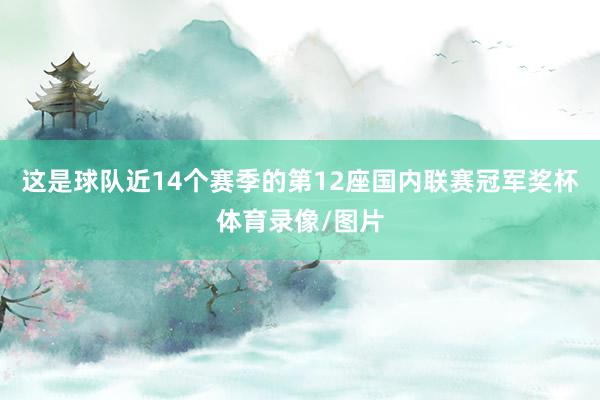 这是球队近14个赛季的第12座国内联赛冠军奖杯体育录像/图片