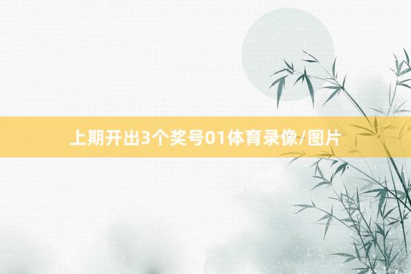 上期开出3个奖号01体育录像/图片