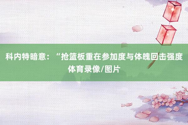 科内特暗意：“抢篮板重在参加度与体魄回击强度体育录像/图片