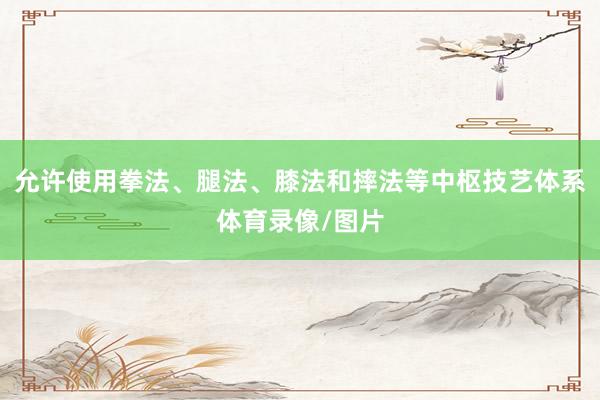 允许使用拳法、腿法、膝法和摔法等中枢技艺体系体育录像/图片